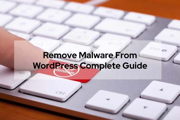 How To Remove Malware From WordPress Complete Guide