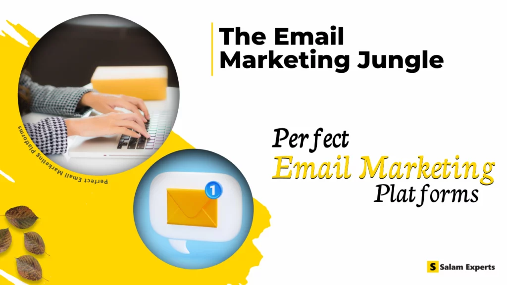 The Email Marketing Jungle: Perfect Email Marketing Platforms