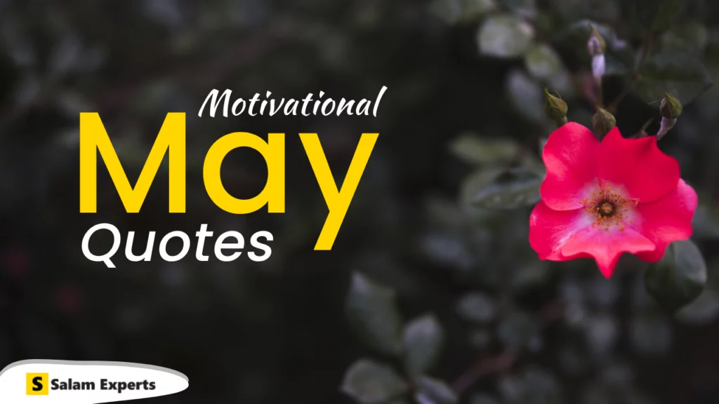 May Quotes Collection: 53 Inspirational Gems Inside!